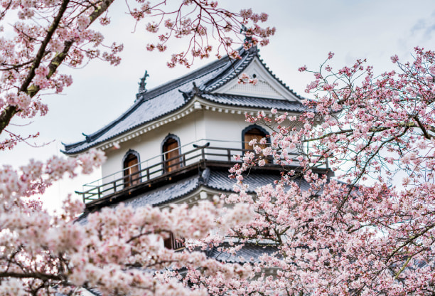 Shiroishi Castle