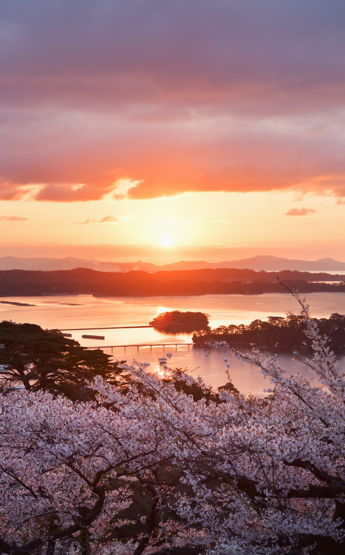 Saigyo Modoshi no Matsu Park