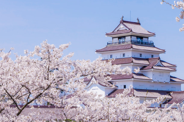 Tsurugajo Park