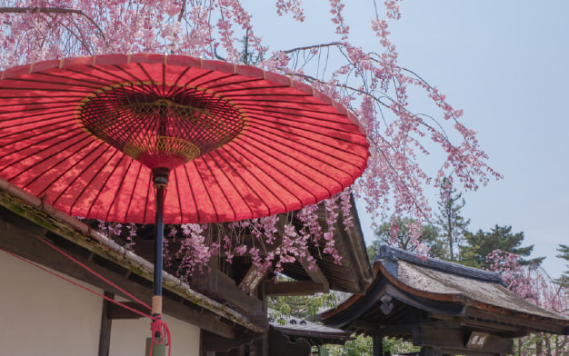 Tsurugajo Park