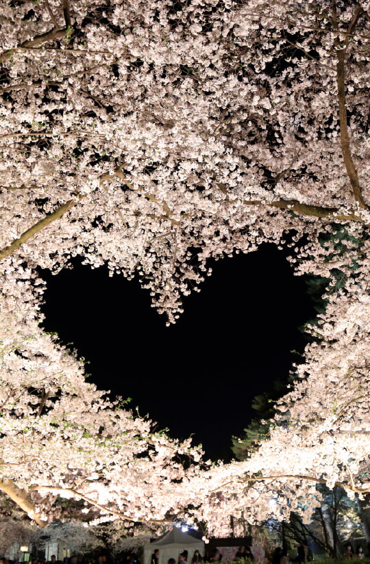 Hirosaki Park