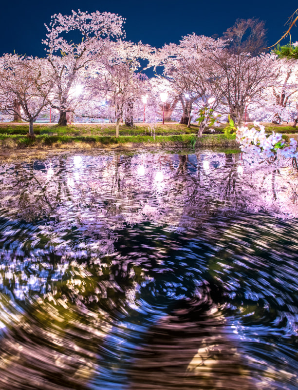 Hirosaki Park