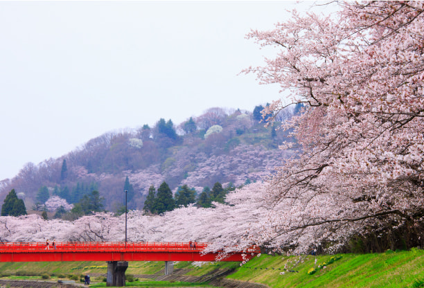 Hinokinai River Embankment