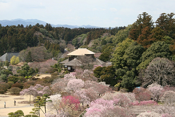 偕楽園本園 入園券