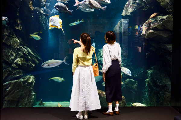 加茂水族館