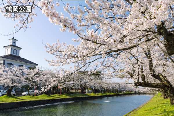 鶴岡公園