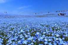 茨城