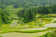 新潟/佐渡
