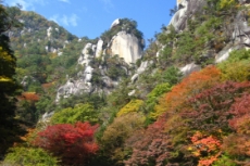 山梨