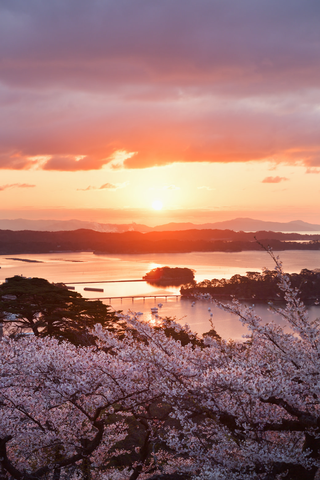 Saigyo Modoshi no Matsu Park