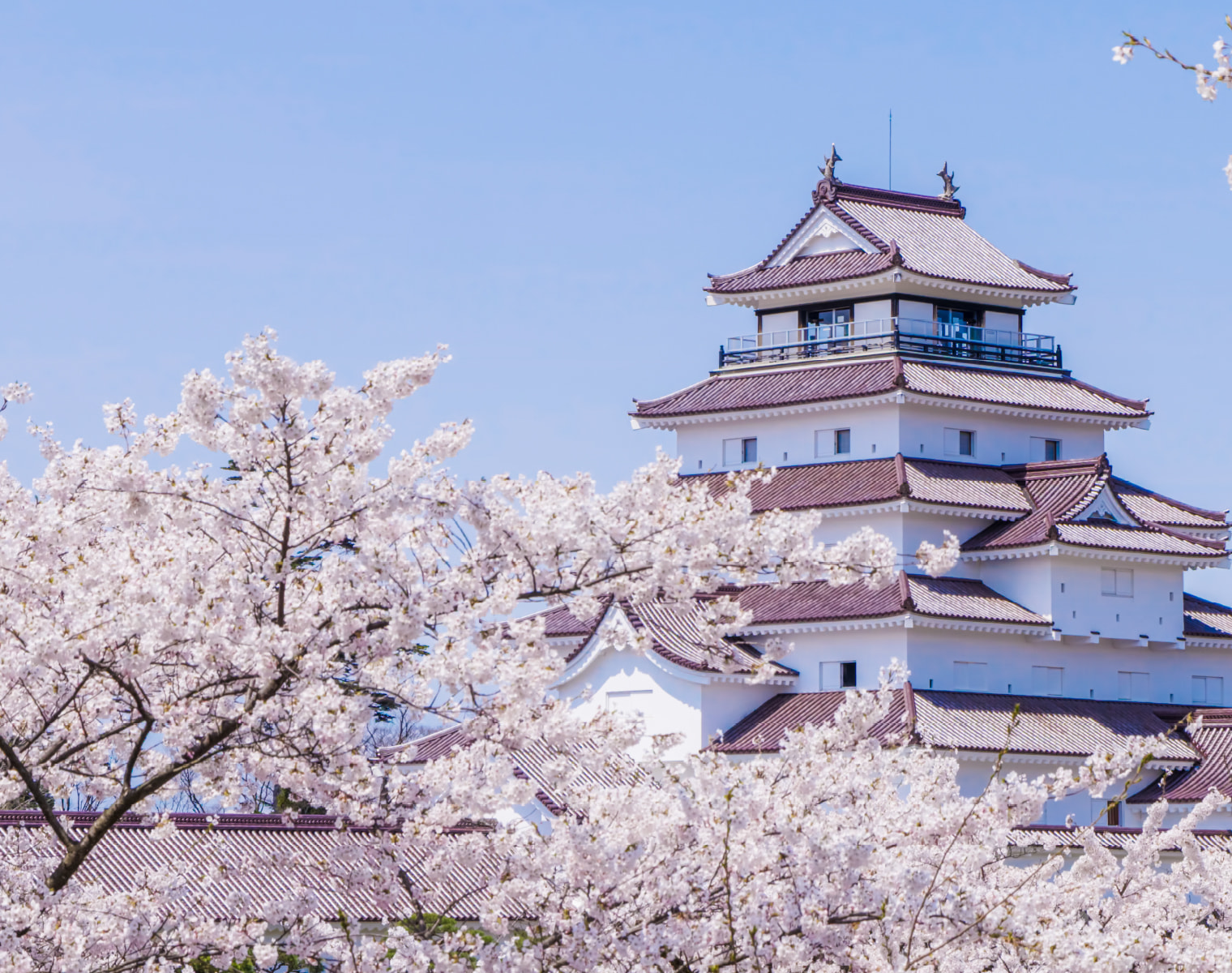 Tsurugajo Park