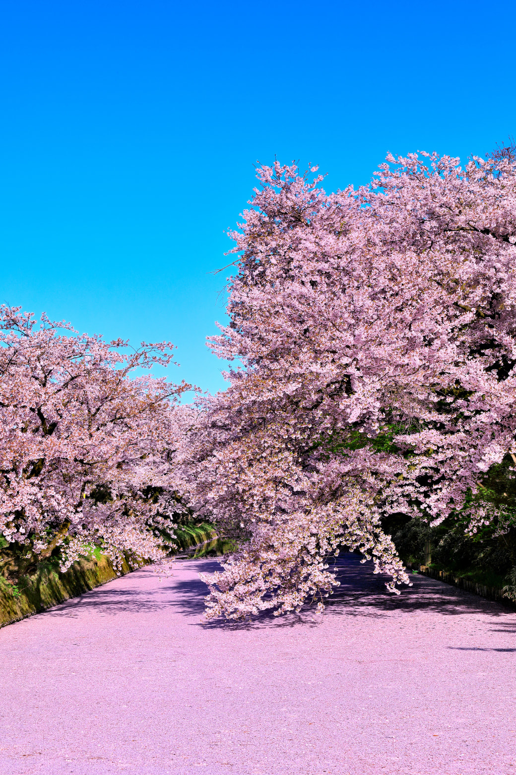 Hirosaki Park