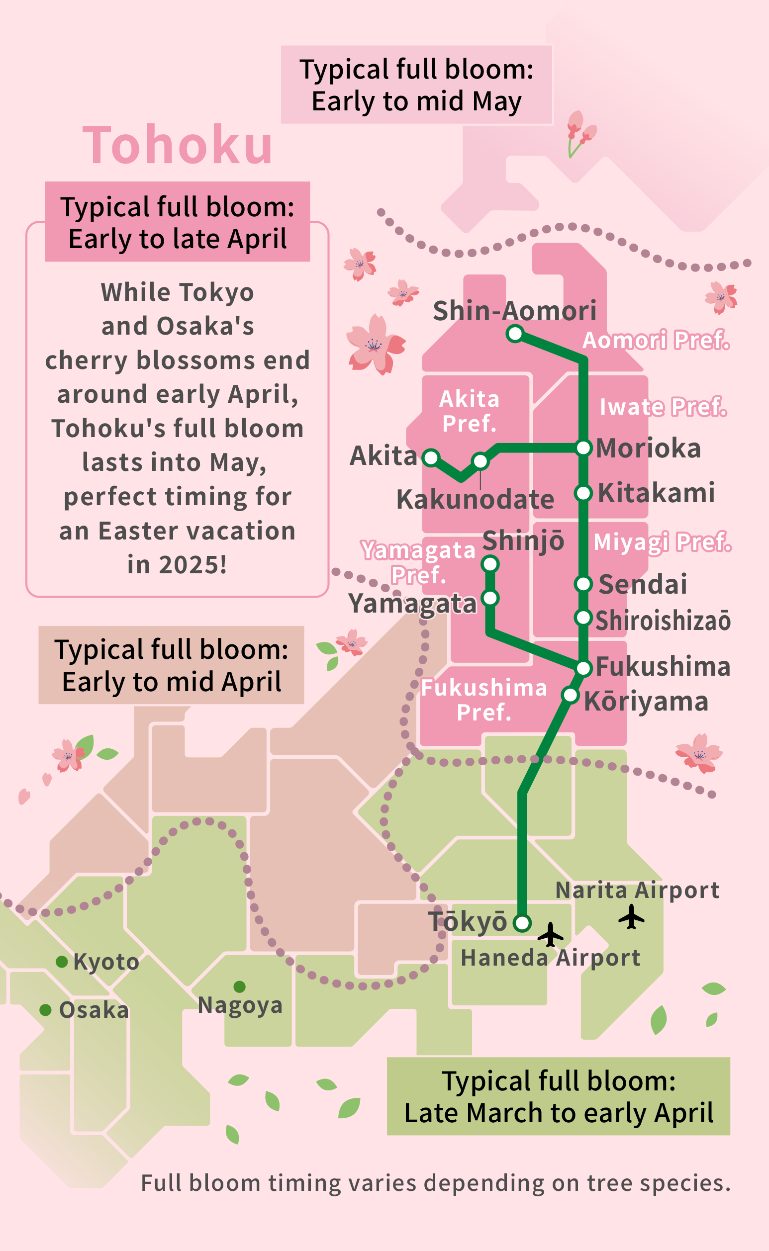 sakura map