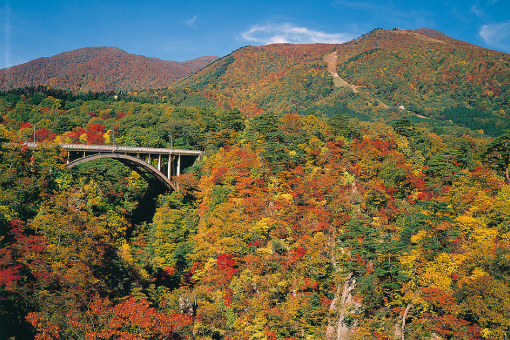 秋 賞紅葉特集 訪問地精選 Jr East