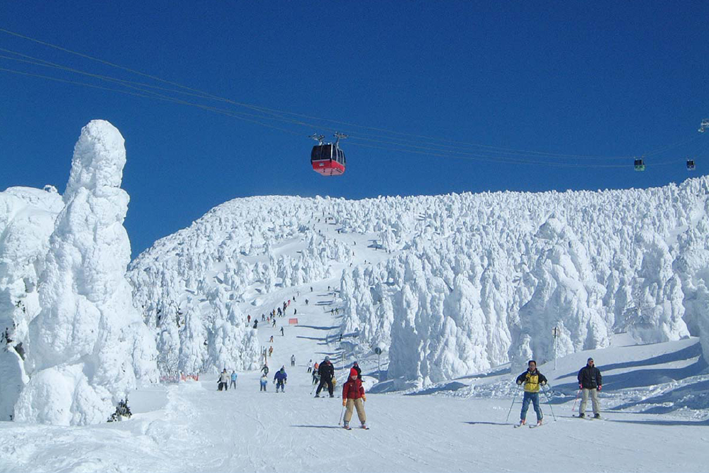 山形县 藏王温泉滑雪场