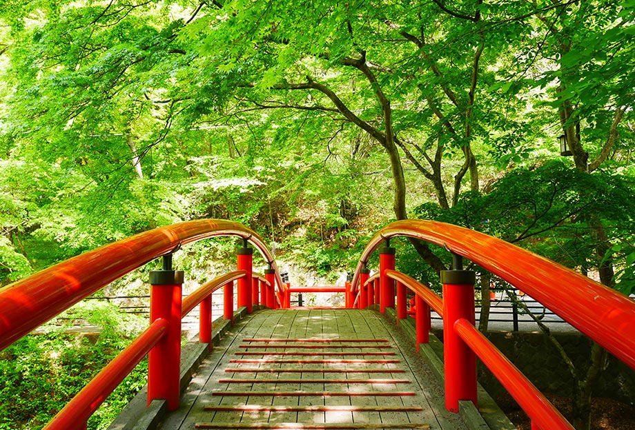 Ikaho Onsen: Fresh green leaves at Kajikabashi bridge