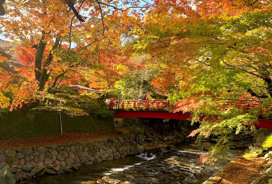 Temple Shuzen-ji