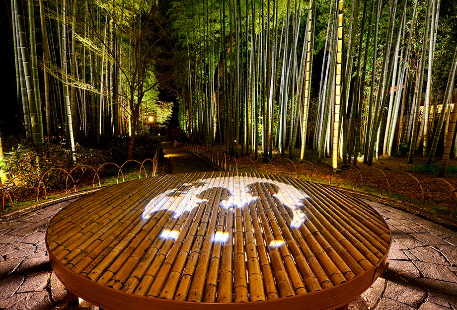 Shūzen-ji: Schmaler Pfad durch einen Bambushain