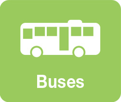 Buses