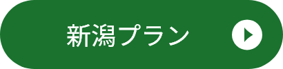 新潟プラン