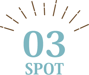 03 SPOT