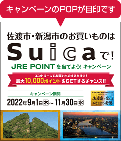 キャンペーンのPOPが目印です