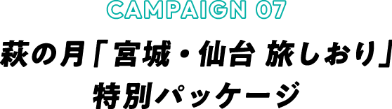 CAMPAIN0107 萩の月「宮城・仙台 旅しおり」特別パッケージ