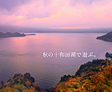 青森県十和田市瞰湖台(カンコダイ）の写真