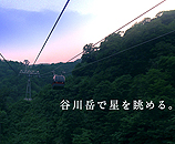 uJx[vEFCv̎ʐ^