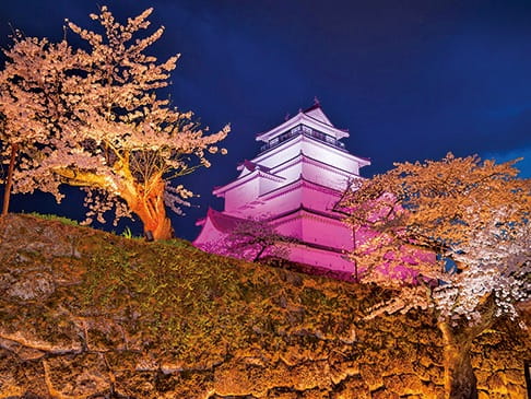 写真:鶴ヶ城
