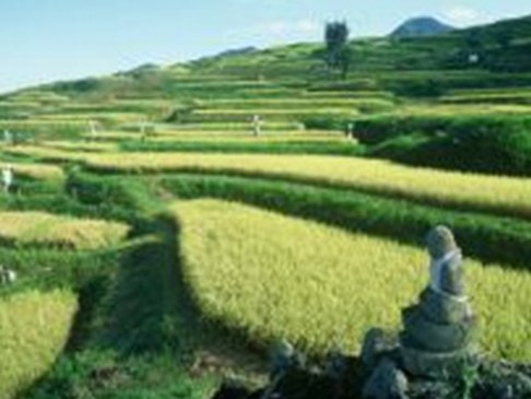 写真:姨捨の棚田(View Point!)