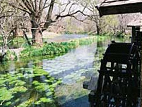 写真:大王わさび農園