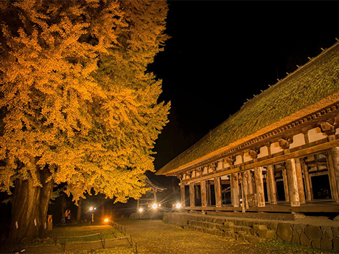 新宮熊野神社