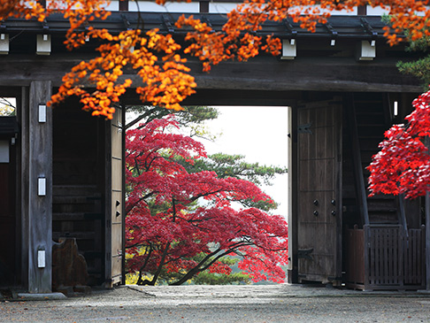 写真：千秋公園