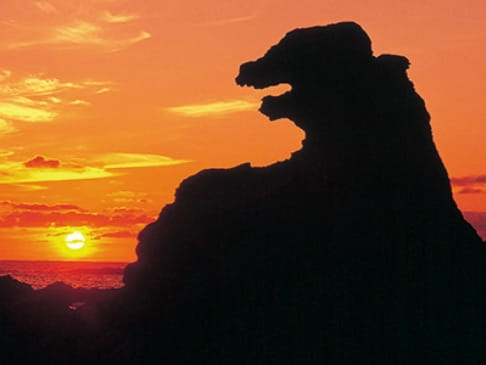 Photo : Rocher de Godzilla