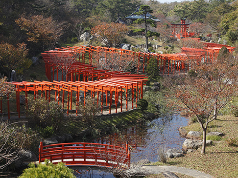 写真：つがる地球村