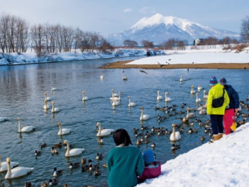 写真：白鳥ふれあい広場