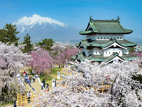 写真：弘前公園（国指定史跡）