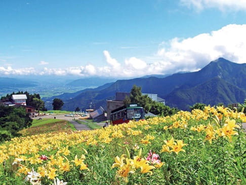 写真：湯沢高原アルプの里