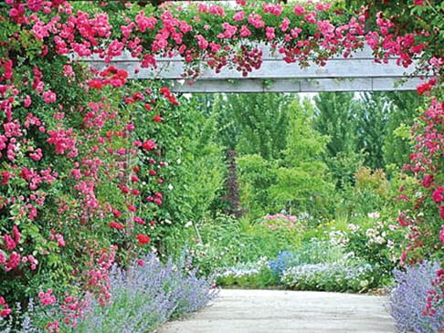 照片：見附英式花園