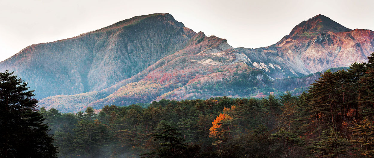 トランヴェール 2019年11月 福島／山形／新潟／北陸