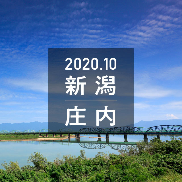 バックナンバー「2020年10月号」