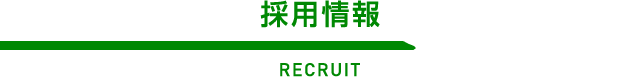 採用情報