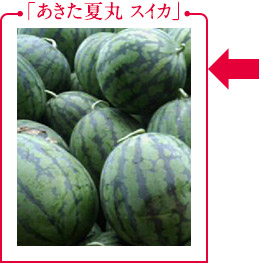 uĊ XCJv