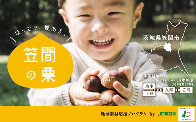 地域再発見プロジェクト 第4段 茨城県 笠間市 笠間の栗 地域再発見プロジェクト 第4段 茨城県 笠間市 笠間の栗
