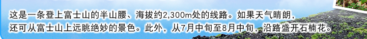 这是一条登上富士山的半山腰、海拔约2,300m处的线路。如果天气晴朗，还可从富士山上远眺绝妙的景色。此外，从7月中旬至8月中旬，沿路盛开石楠花。