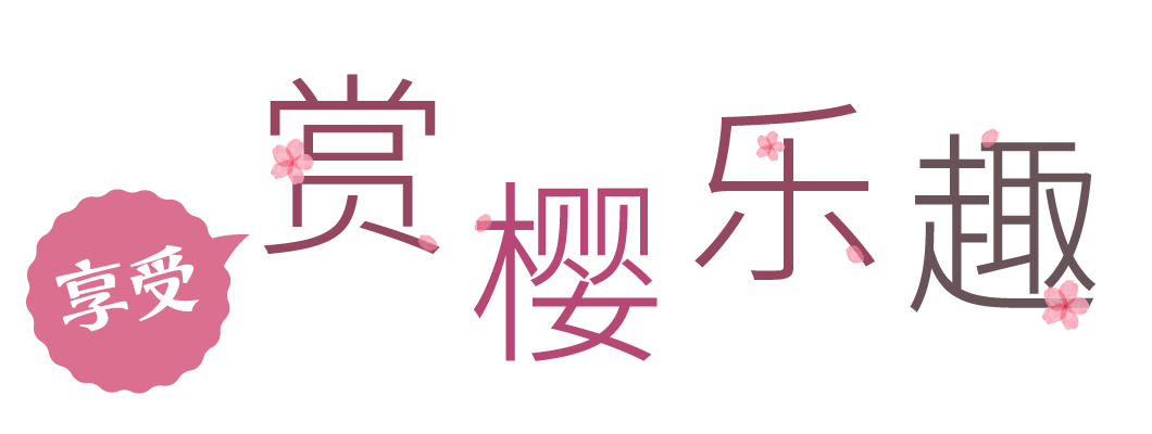 享受赏樱乐趣