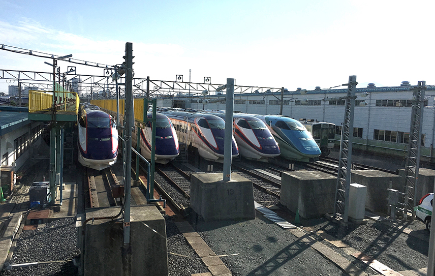 たくさんの思い出をありがとう
