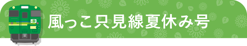 快速湯けむり号