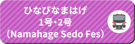 ひなびなまはげ1号・2号（なまはげ柴灯まつり号）